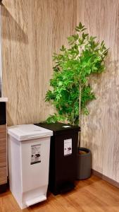 嘉建 2-8人 全新独栋3层 3房3厕所2淋浴1客厅1厨房 天下茶屋站步行5分钟 现代日式风格