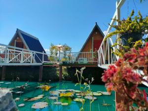 Western View Chiangdao Camping