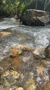 สวนหินเขาแม่พันธุรัตน์โฮมสเตย์ & แคมปิ้ง กงหรา พัทลุง