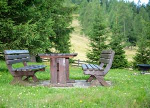 Almhütte Tamberger in der Feldpann-Alm