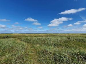 Seaside Serenity at Knasborg Beach-By Traum