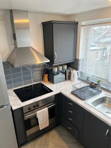 Hidden Modern Gem Zone 1!