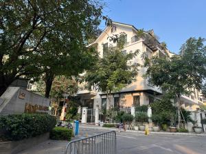 Cẩm Tú Cầu 101TK21