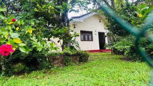 Ananda Homestay