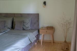 Panekelpių vienkiemis