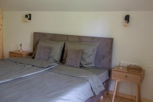 Panekelpių vienkiemis