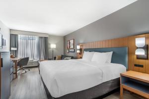 Country Inn & Suites by Radisson, Shelby, NC