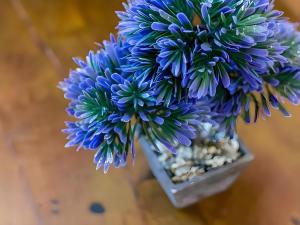 Estudio con Aire Acondicionado Centro del pueblo