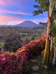 Laa Cabana Lombok Glamping