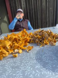 Nästeviken Björkhaget