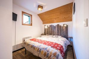 La Marmotte des Sybelles - Pistes à 50 m