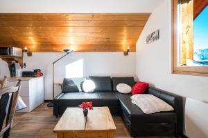 La Marmotte des Sybelles - Pistes à 50 m