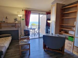 Charmant studio avec terrasse et parking à Banyuls-sur-Mer - FR-1-309-90