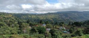 Mountain Berries Resort