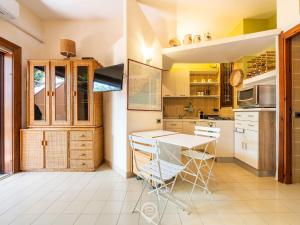 Pinus Blissful Breeze