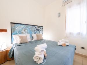 Pinus Blissful Breeze