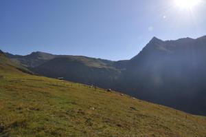Wallnerhütte I Almblick