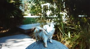 Mediterranea Luxury House