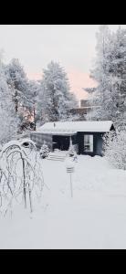 Kataja Chalet with sauna and jacuzzi