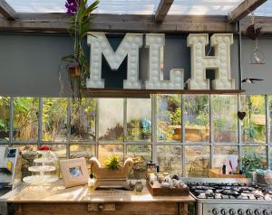 Mediterranea Luxury House