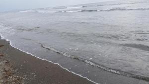 Marcusitos Beachfront Vacation Place