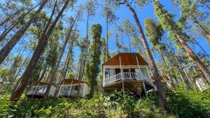 La Pino Mount Batur and Hot Spring