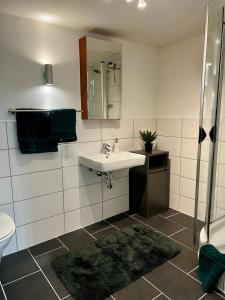 Stilvolle Ferienwohnung im Stadtzentrum Hachenburg