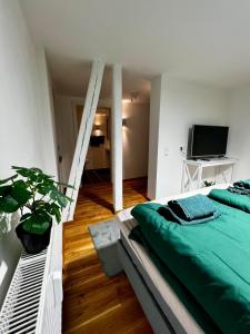 Stilvolle Ferienwohnung im Stadtzentrum Hachenburg