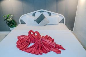 Social Backpacker Hostel & Rooftop Bar