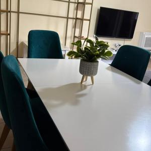 Blue Boutique Apartments 5