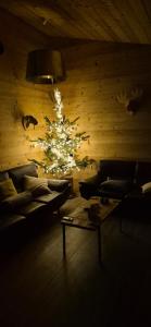 chalet au calme, 7mn des pistes de ski