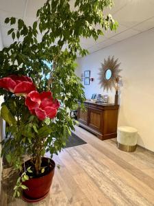 Contact Hôtel Marseille Aubagne