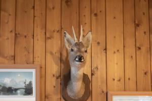 Appartement Les Balcons du Savoy