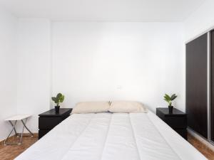 Live Caletillas Arenitas 3