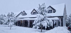 Komfortowe i Stylowe Domki