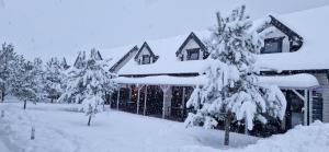 Komfortowe i Stylowe Domki