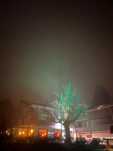 Tenne Lenk - Gasthof & Hotel