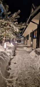 Komfortowe i Stylowe Domki