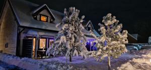 Komfortowe i Stylowe Domki