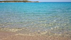 Dimora Mimosa - Baia Delle Mimose