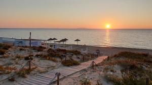 Dimora Mimosa - Baia Delle Mimose img29