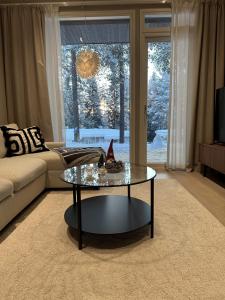 Arctic Circle Holiday homes II