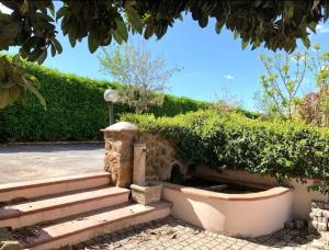 Angels&Rome - free park