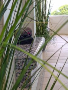 Terrassenhaus, FeWo 63