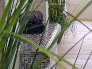 Terrassenhaus, FeWo 58