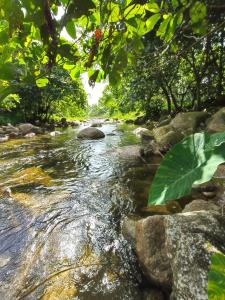 สถานีน้ำหวาน รีสอร์ท น้ำตกอ้ายเขียว