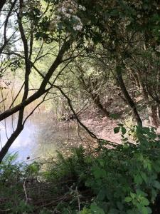 Riverside 124 Caravan - 7 Lakes