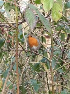 Riverside 124 Caravan - 7 Lakes