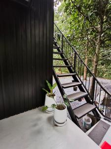 สถานีน้ำหวานรีสอร์ท น้ำตกอ้ายเขียว