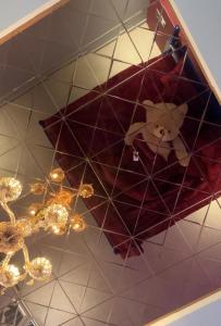 Teddy